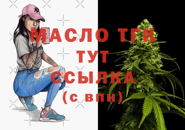 дмт Вяземский